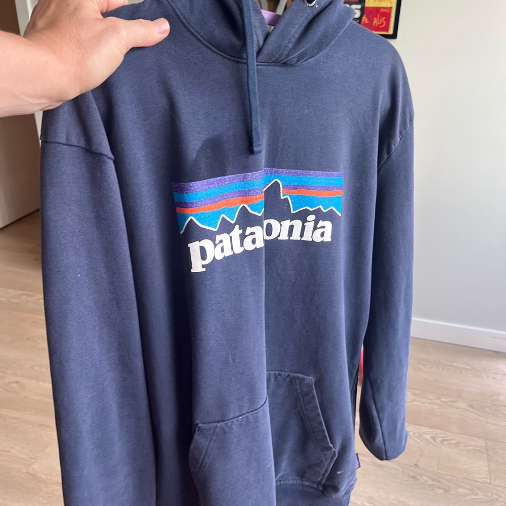 Patagonia Navy Blue Hoodie